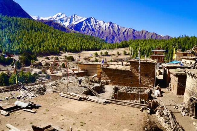 Ringmo-3660-m Ringmo-3660-m