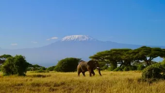 Individuelle Safaris in Kenia