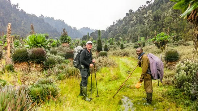 uganda-ruwenzori-berg