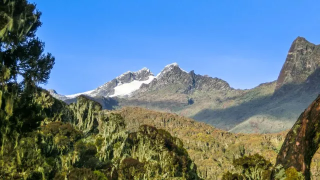 uganda-ruwenzori-berg