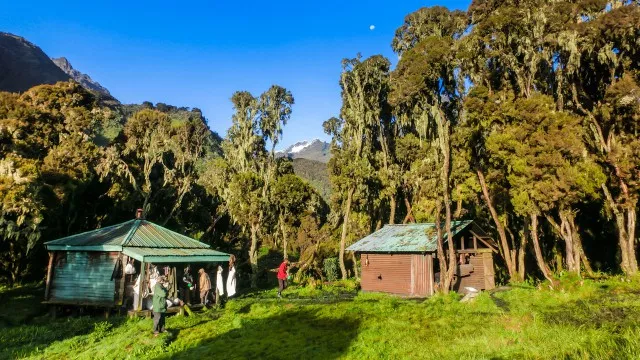 uganda-ruwenzori-berg