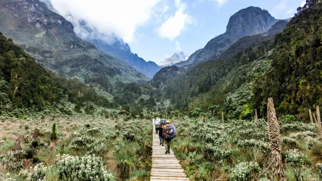 uganda-ruwenzori-berg