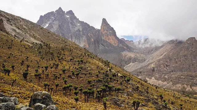 mount-kenya-besteigung