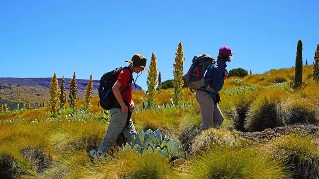 mount-kenya-besteigung